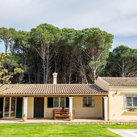 Villa Pine Forest Kompitsion Ngoại thất bức ảnh