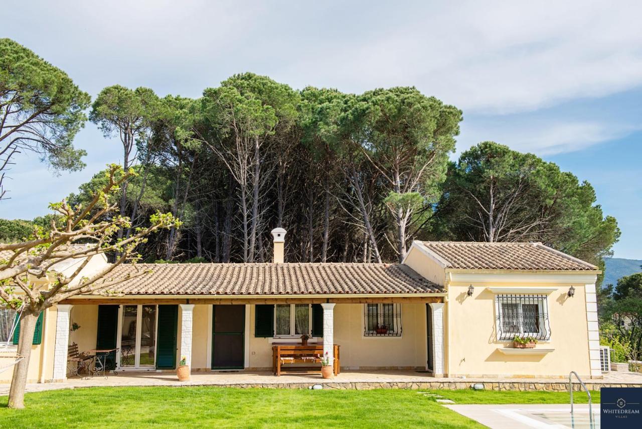 Villa Pine Forest Kompitsion Ngoại thất bức ảnh