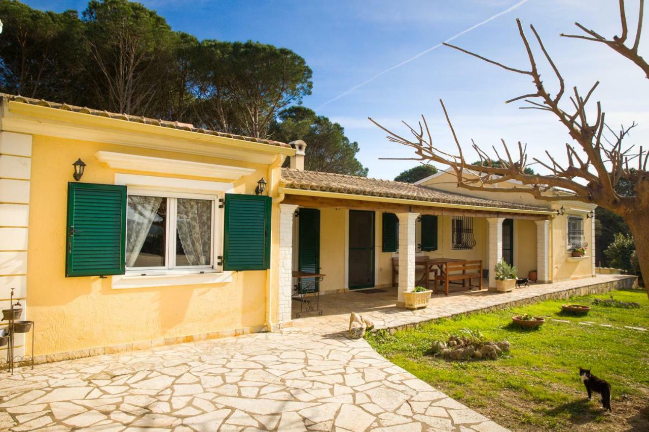 Villa Pine Forest Kompitsion Ngoại thất bức ảnh